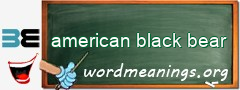 WordMeaning blackboard for american black bear